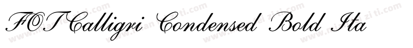 FOTCalligri Condensed Bold ItalicVe字体转换